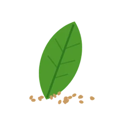 মসলা