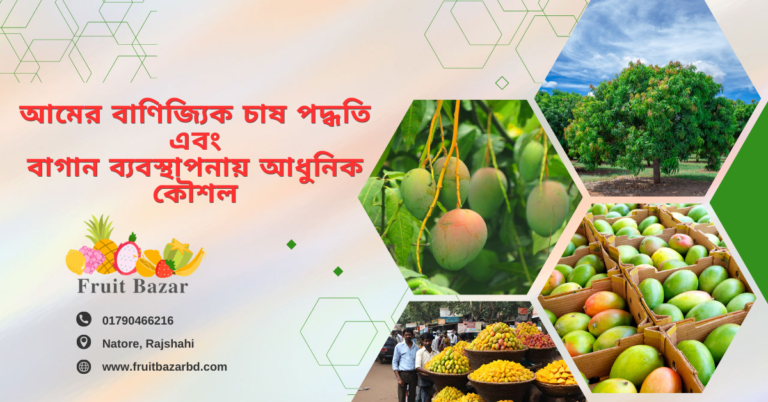 আমের বাণিজ্যিক চাষ পদ্ধতি এবং বাগান ব্যবস্থাপনায় আধুনিক কৌশল