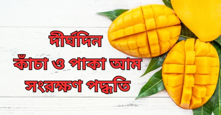 দীর্ঘদিন কাঁচা ও পাকা আম সংরক্ষণ পদ্ধতি