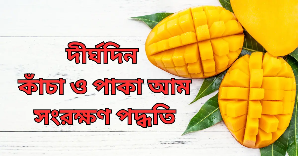 দীর্ঘদিন কাঁচা ও পাকা আম সংরক্ষণ পদ্ধতি