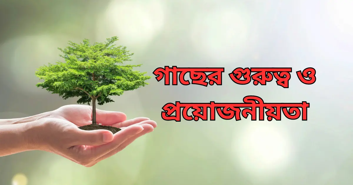 গাছের গুরুত্ব ও প্রয়োজনীয়তা