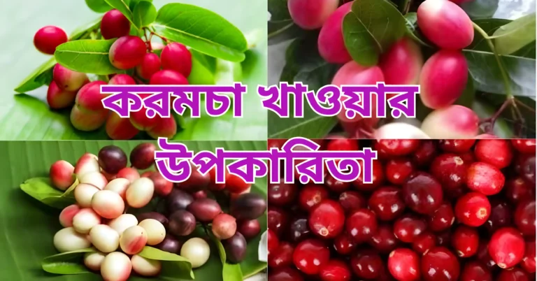 করমচা খাওয়ার উপকারিতা