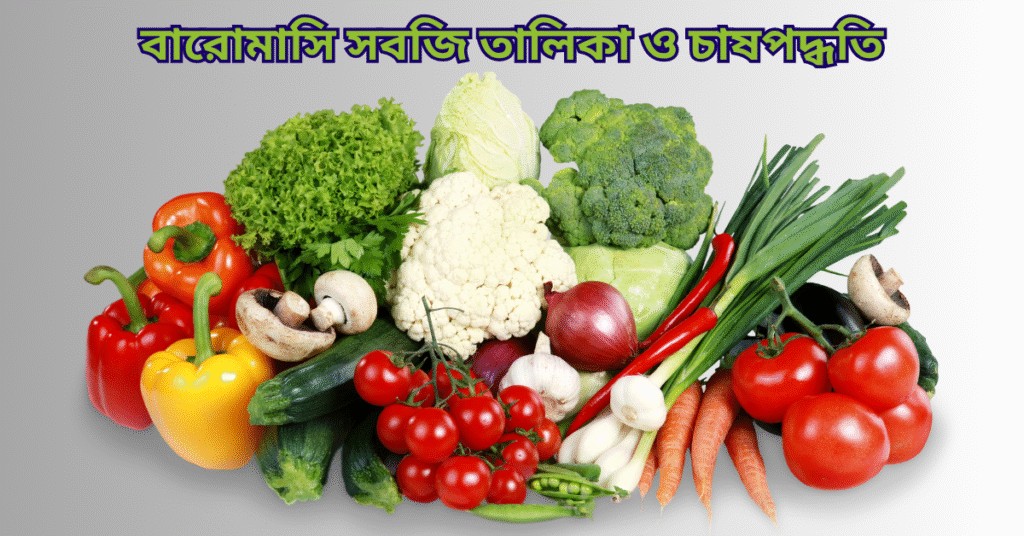 বারোমাসি সবজি তালিকা ও চাষপদ্ধতি সবজি চাষ