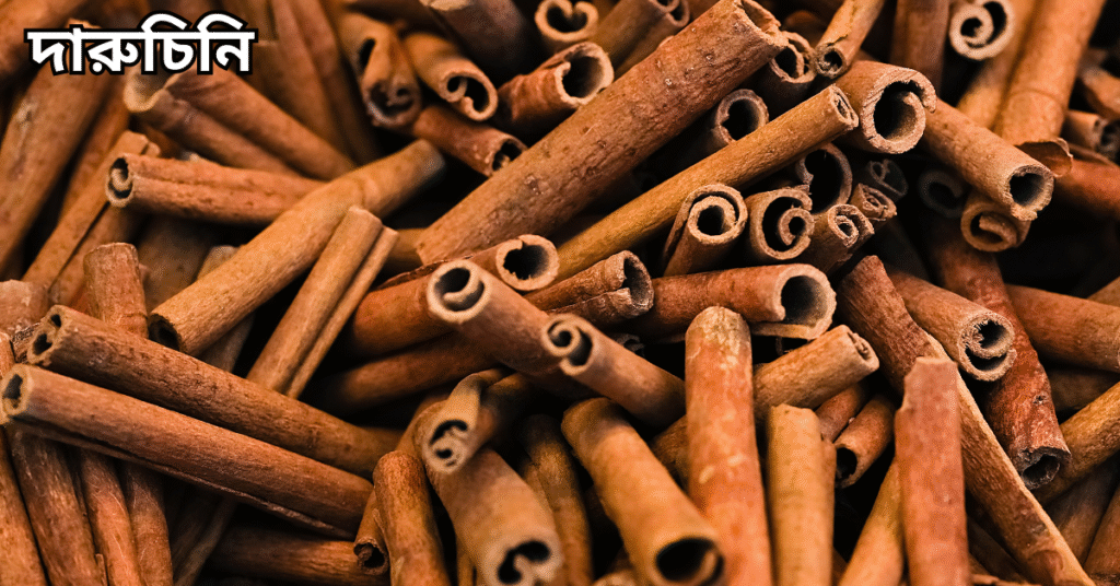 দারুচিনি চাষ