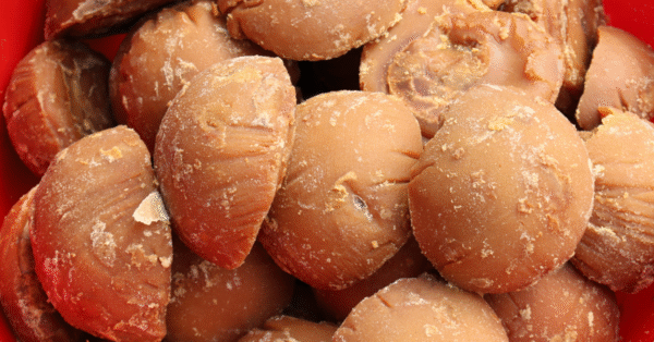 খাঁটি খেজুরের গুড় – ১০০% বিশুদ্ধ ও প্রাকৃতিক Natural Date Molasses (Pure Patali Gura) খাঁটি খেজুরের গুড় – ১০০% বিশুদ্ধ ও প্রাকৃতিক Natural Date Molasses (Pure Patali Gura)