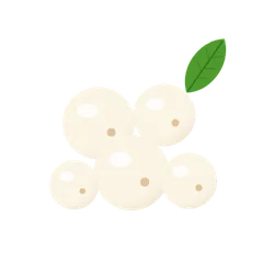 সুপারফুড